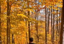‘마이크로 운동’ 열풍…작은 움직임이 만드는 건강한 일상 a man walking down a path in the woods