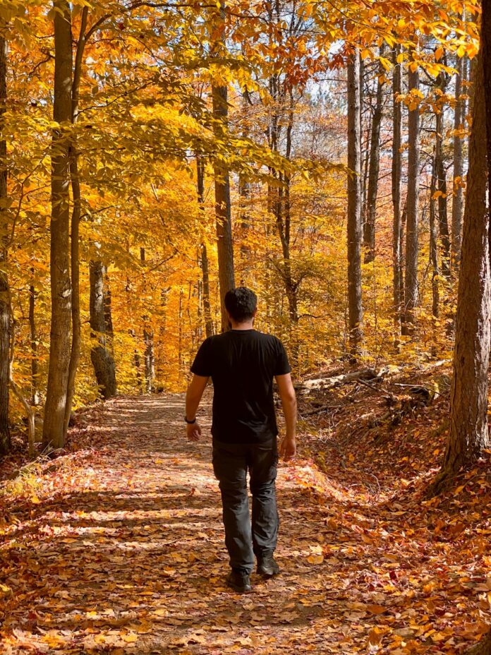 Photo by Jaime Dantas a man walking down a path in the woods