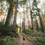 “지속가능한 나만의 웰니스 루틴 찾기, 일상에서 시작하세요” woman walking near plants and tall trees during daytime