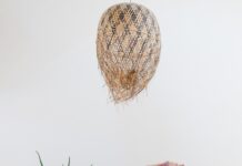 근육, 이제는 누구나 관리하는 시대… 일상 속 실천으로 건강 챙기기 woman in pink one piece swimsuit kneeling on floor