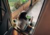 “지친 일상, 만성피로 탈출법 찾기”…작은 변화가 만드는 큰 활력 Woman sitting on balcony with smartphone